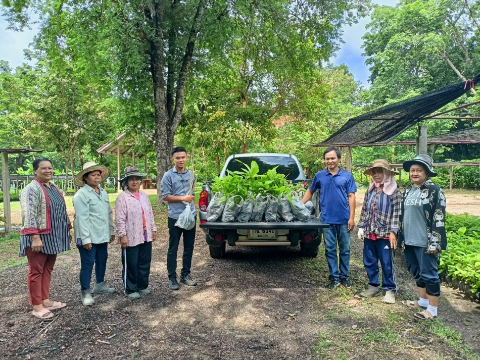 เทศบาลตำบลพังโคนศรีจำปา ได้รับกล้าไม้จากพื้นที่ภูพาน เพื่อส่งเสริมการปลูกต้นไม้และเพิ่มพื้นที่สีเขียว 