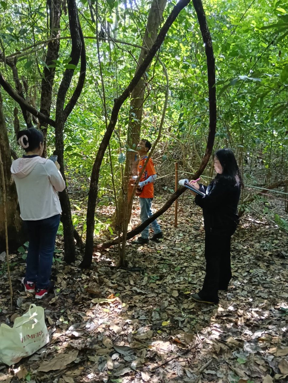 ลงพื้นที่สำรวจและจัดเก็บข้อมูลพรรณไม้ โซน A4