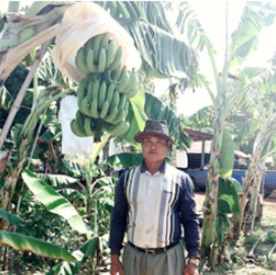 ศูนย์เรียนรู้เศรษฐกิจพอเพียงชุมชนตำบลพังโคน