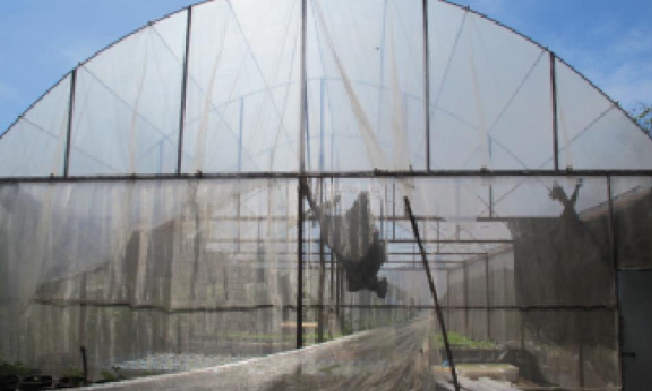 ศูนย์การเรียนรู้ การปลูกพืชไร้ดิน (HYDROPONIC)